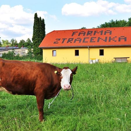 فندق Porici nad Sazavouفي  Farma Ztracenka المظهر الخارجي الصورة