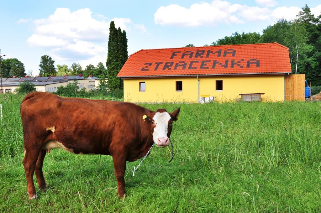 فندق Porici nad Sazavouفي  Farma Ztracenka المظهر الخارجي الصورة