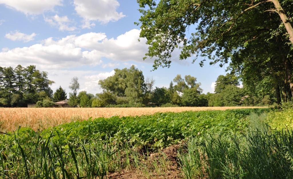 فندق Porici nad Sazavouفي  Farma Ztracenka المظهر الخارجي الصورة