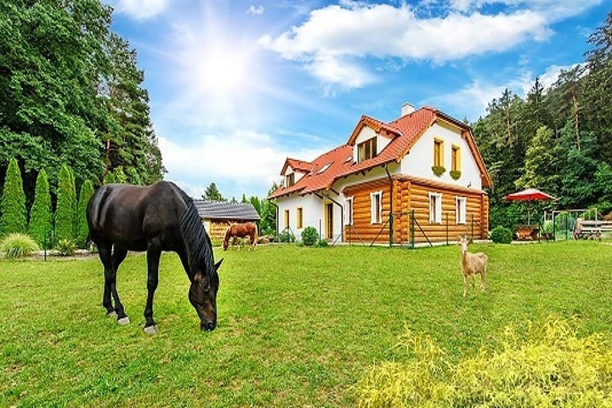فندق Porici nad Sazavouفي  Farma Ztracenka المظهر الخارجي الصورة